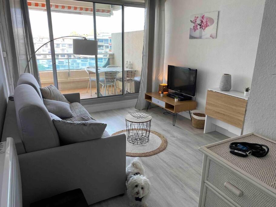 Joli Studio Vue Mer Et Port Mauguio Ngoại thất bức ảnh